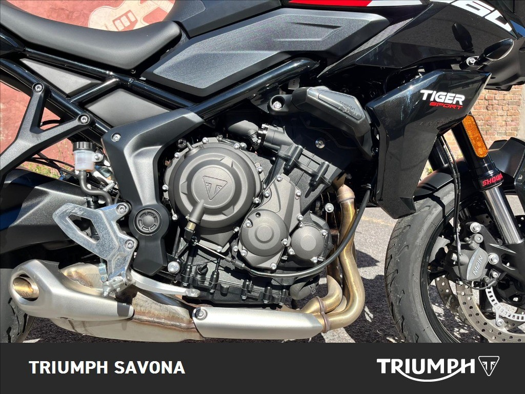 TRIUMPH Tiger Sport 660 Abs